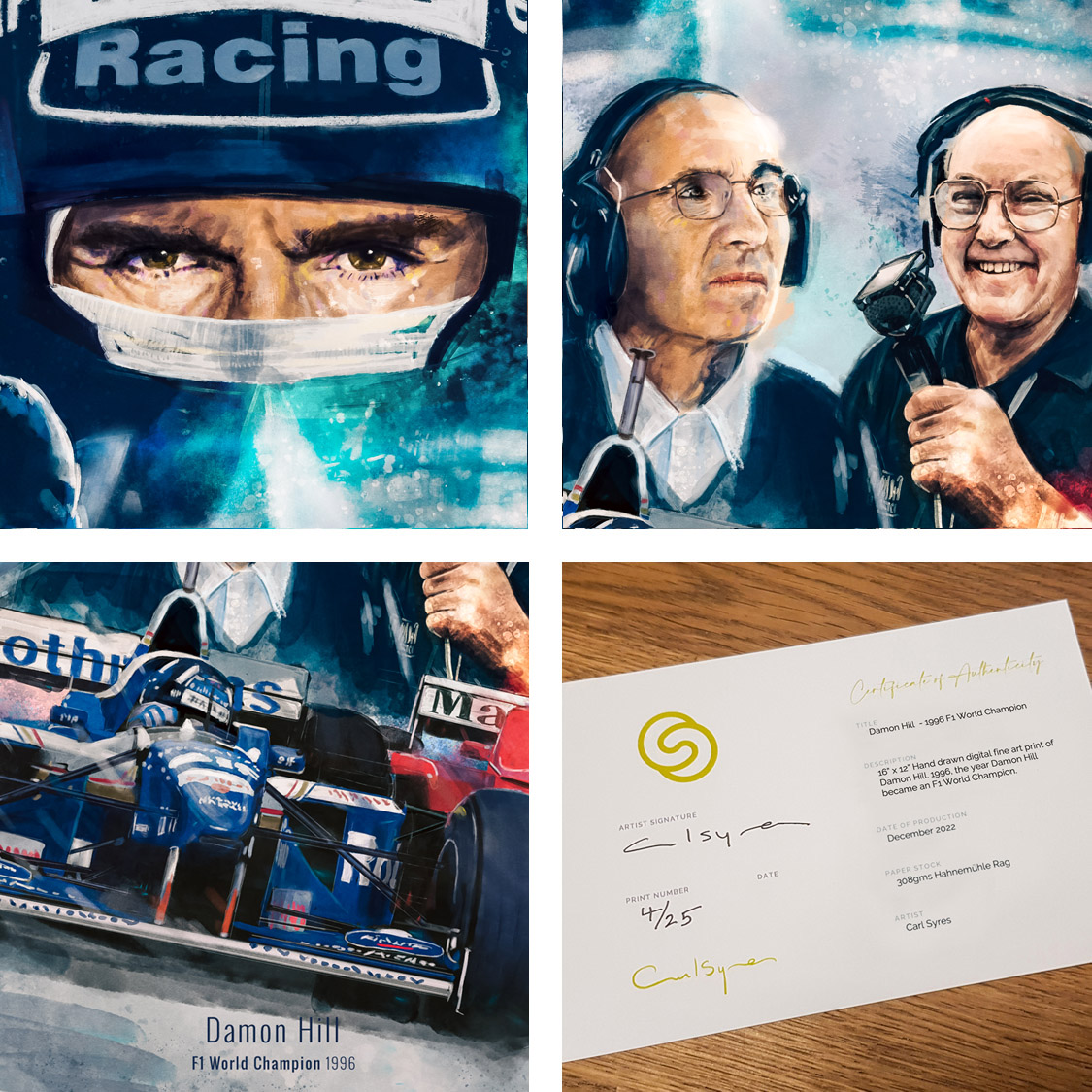 Damon Hill WIlliams F1 Driver Prints