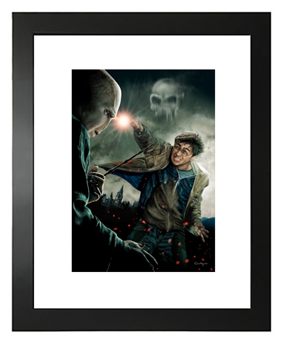 Harry Potter Framed Limited Edition Prints